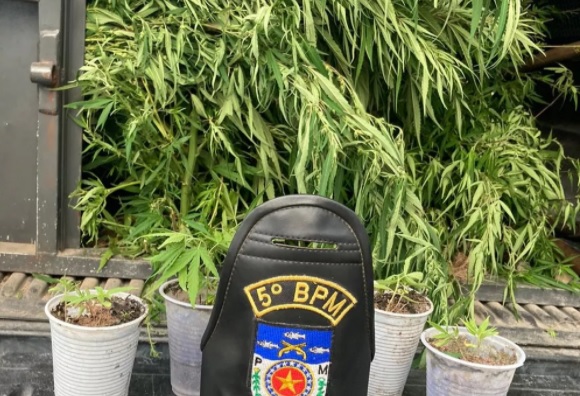 Pela segunda vez, pastores são presos acusados de plantar e traficar maconha