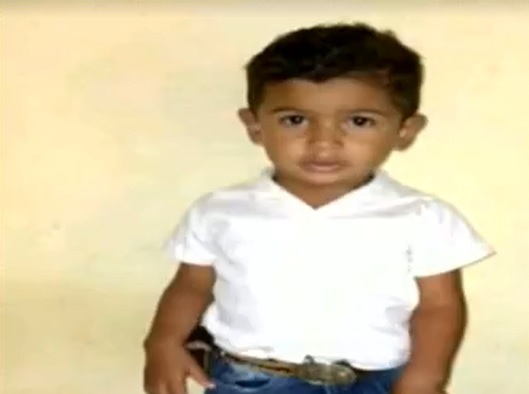 Criança de 1 ano e 9 meses morre após ser atingida por um coice de cavalo