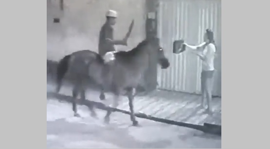 Homem a cavalo e armado com facão assalta mulher