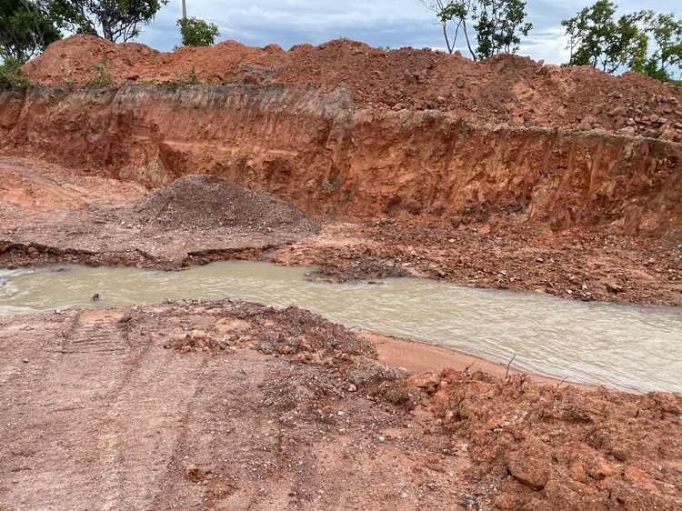 Operação identifica crimes ambientais e de maus-tratos aos animais