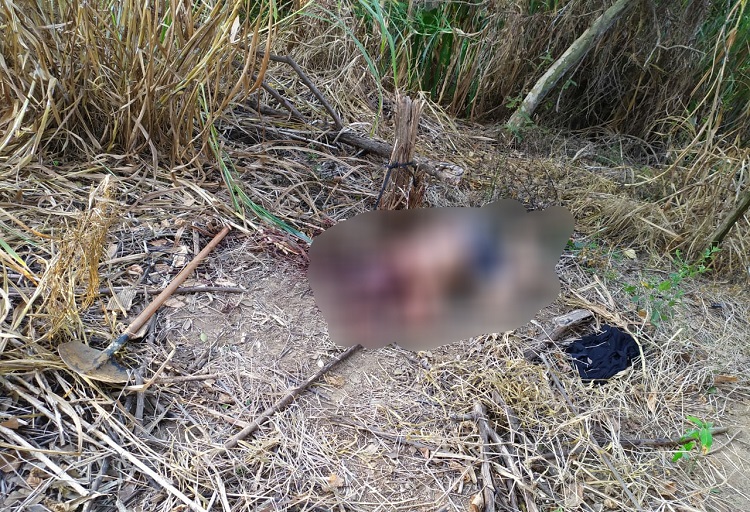 WhatsApp Image 2021-03-17 at 13.33.29