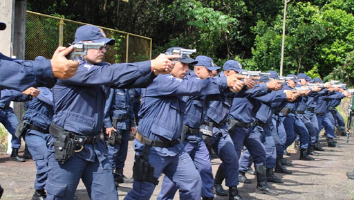 Supremo garante porte de arma para guardas municipais