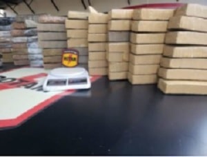 PM apreende mais de 250 kg de drogas em menos de 24 horas