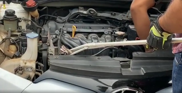 VÍDEO: Motorista é surpreendido com cobra no carro