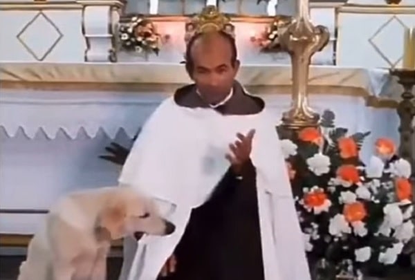 VÍDEO: Cachorro morde e brinca com batina do padre durante a missa