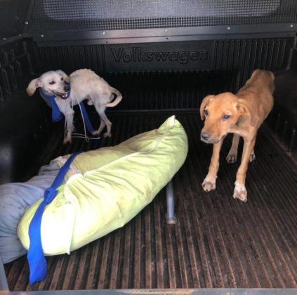 whatsapp-image-2021-03-29-at-18-423x420-min