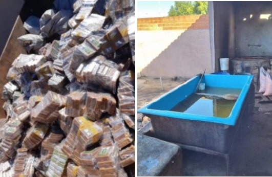 Polícia fecha fábrica clandestina de rapadura