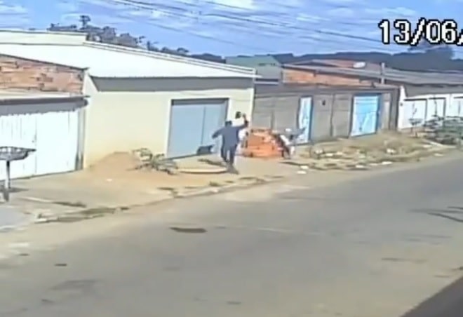 VÍDEO: homem mata cachorro a pedrada em Aparecida