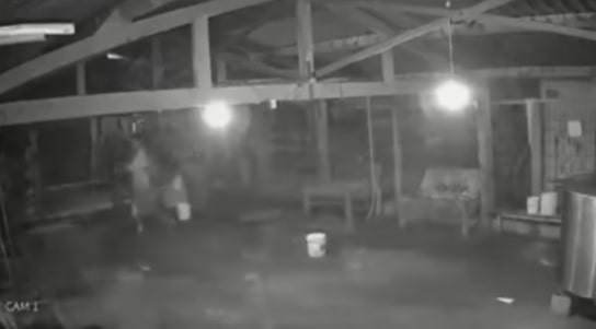 Autor de chacina é flagrado dormindo em galpão de fazenda
