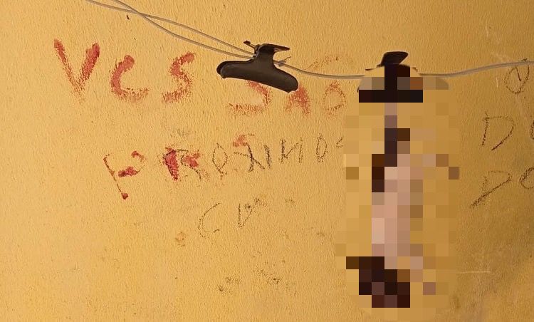 Homem é preso sob suspeita de degolar filhotes de cachorro