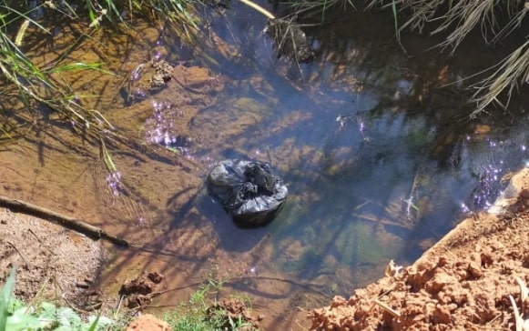 Rapaz diz que decapitou avô porque ele teria abusado sexualmente da irmã menor