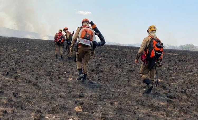 Fogo na Chapada dos Veadeiros afeta 14 mil hectares