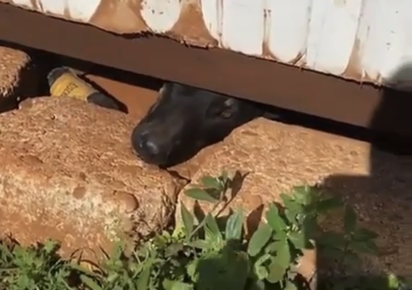 5ACC5EF0-7B49-46AC-8945-2848DC31AD09