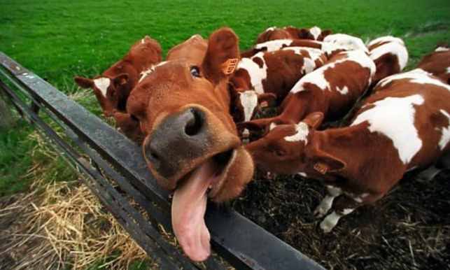 0A16DE31-A1CC-4FD3-AC42-15942C20B74E