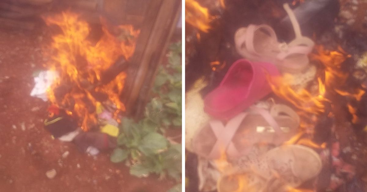 Homem é preso por agredir companheira e matar seus animais de estimação