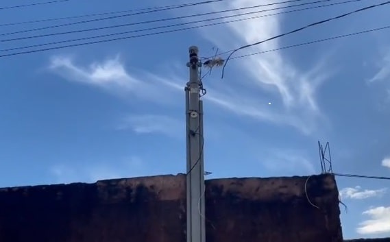 Homem, cachorro e cavalo morrem eletrocutados em “gato” de energia elétrica