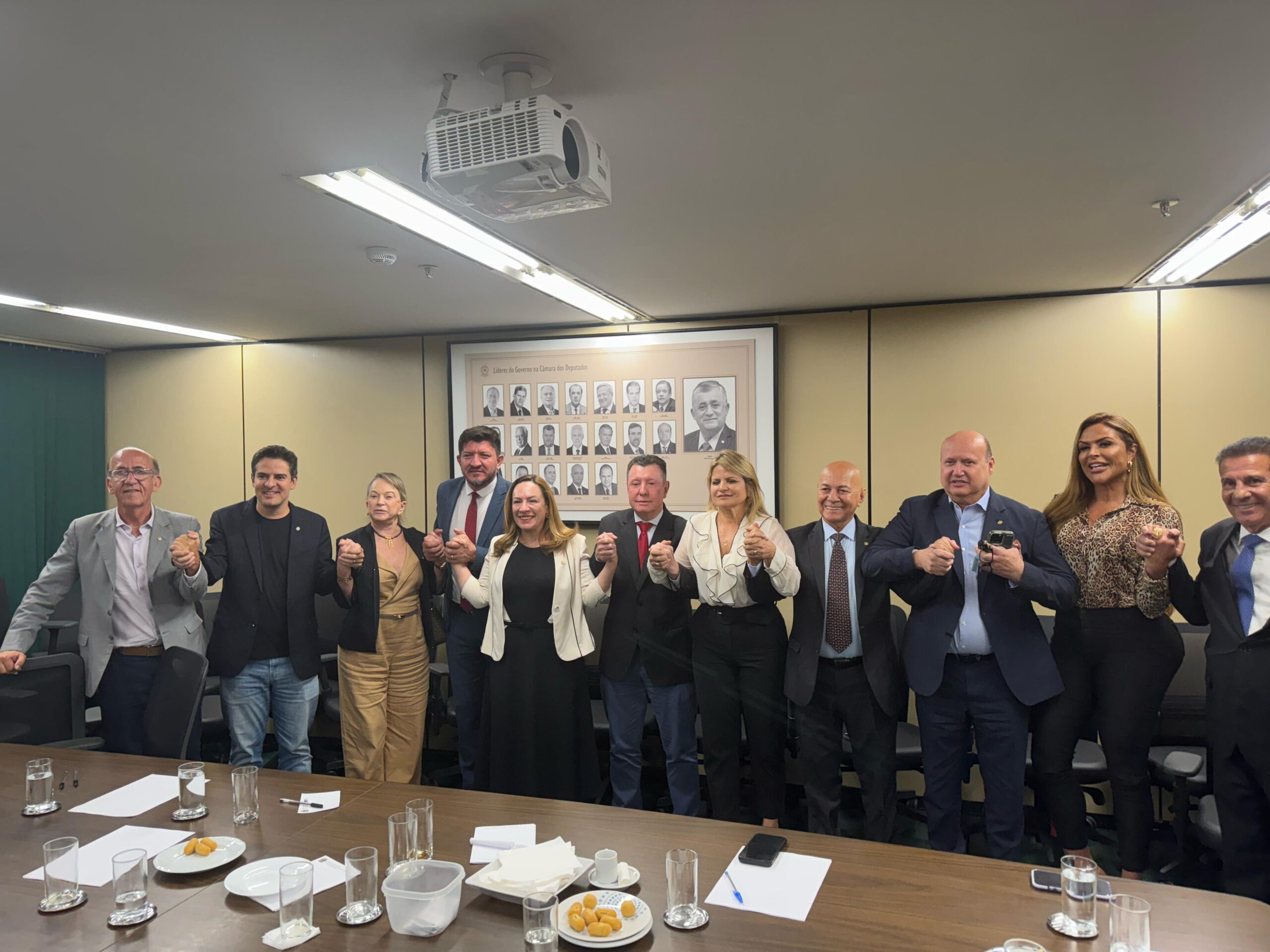 José Nelto é eleito coordenador da bancada goiana no Congresso Nacional