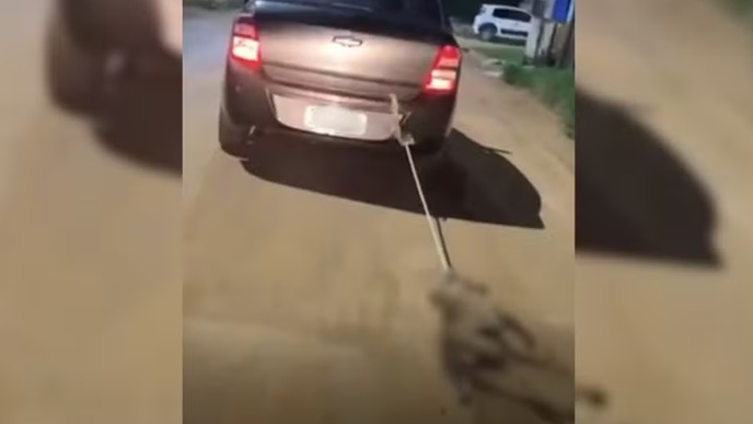 Homem mata cachorro com marreta e arrasta seu corpo pelas ruas