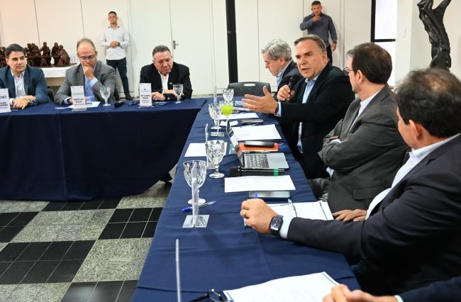 Mabel propõe parceria com setor produtivo visando solução para problemas da cidade