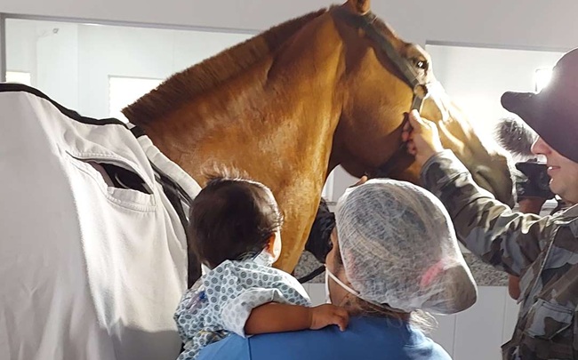 Cavalos da Polícia Militar visitam pacientes internados no HMAP
