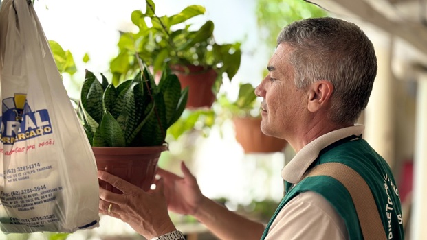 Goiânia registra queda de 46% nos casos de dengue em 2025