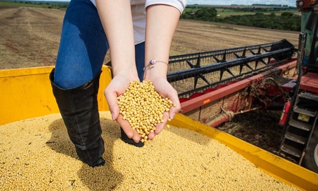 Economia: PIB de Goiás cresce 7,7% no primeiro trimestre de 2025