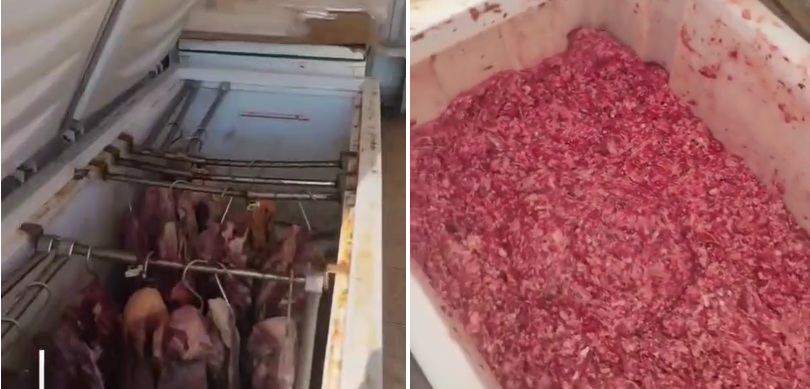 Fábrica clandestina de linguiça é alvo de operação da polícia, em Aparecida