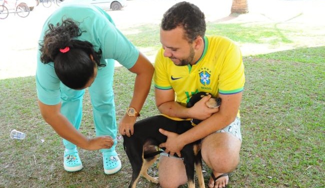 Veja os locais de vacinação para pets em Aparecida neste sábado