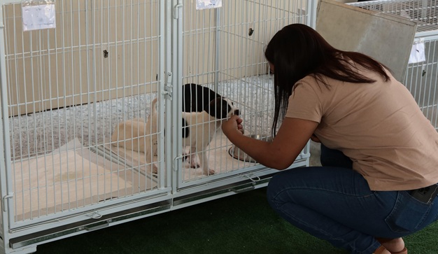 Aparecida é Show: Público pode trocar 2 kg de ração pet por entrada