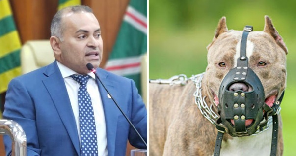 Uso de focinheira em cães de raças perigosas pode se tornar obrigatório em Goiânia