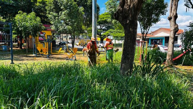 Comurg contrata empresa para reforçar serviços de roçagem e poda de gramados em Goiânia
