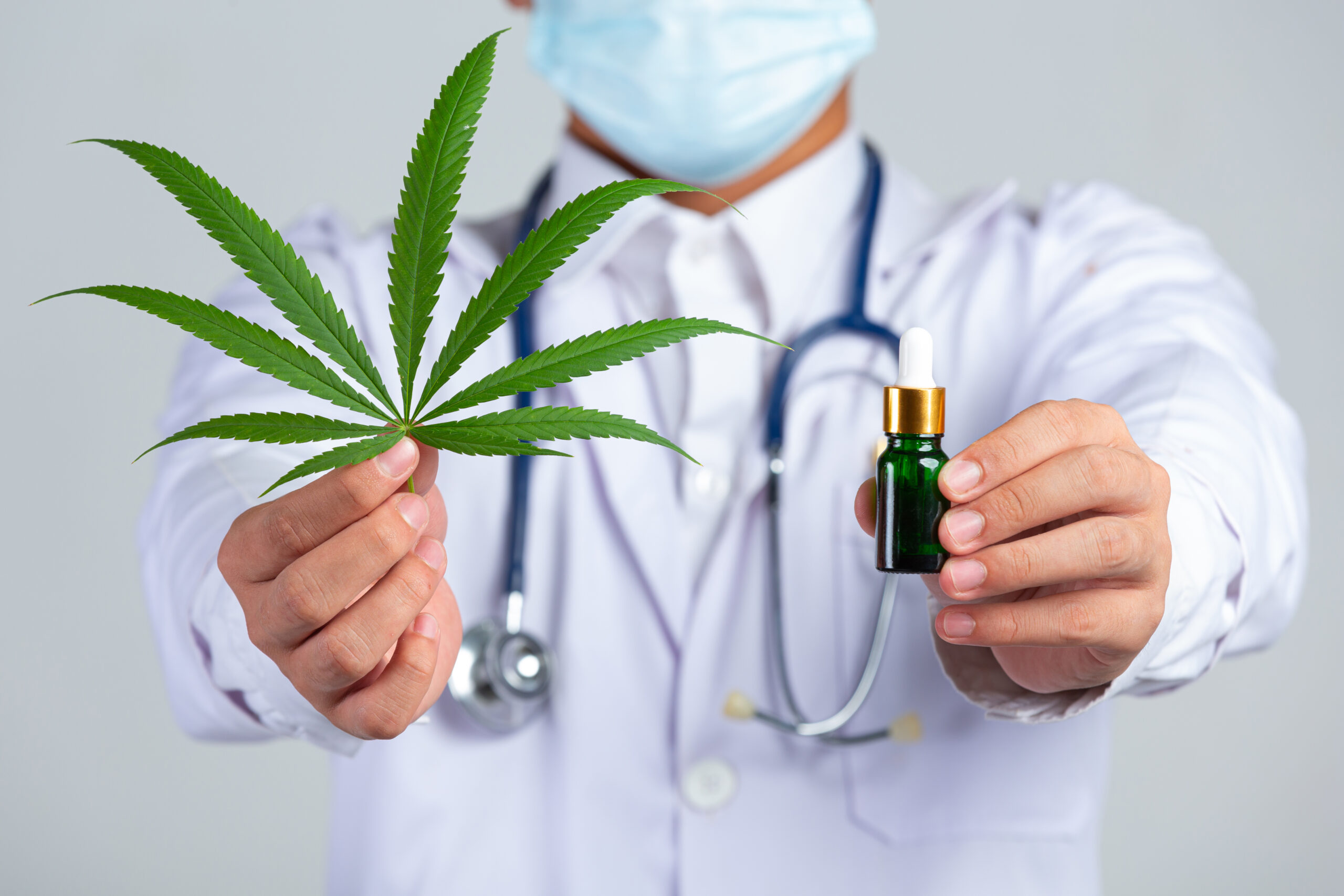 Anvisa aprova regras para produção de cannabis medicinal no Brasil Produção de cannabis medicinal só pode ser feita por empresas, mediante uma autorização especial