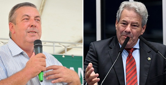 Eleições 2026: Vice de Daniel Vilela pode sair do agro ou do meio evangélico Eleições 2026: Vice de Daniel Vilela pode sair do agro ou do meio evangélico