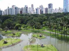 Goiânia recebe destaque internacional e incentiva o plantio e a preservação de árvores na cidade