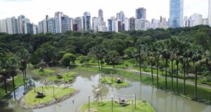 Goiânia recebe destaque internacional e incentiva o plantio e a preservação de árvores na cidade