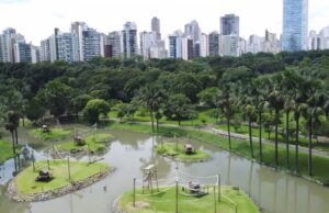 Goiânia recebe destaque internacional e incentiva o plantio e a preservação de árvores na cidade