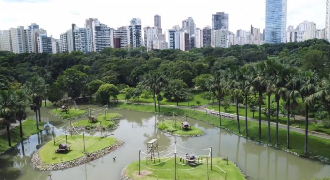 Cidade Árvore do Mundo: Goiânia se destaca como uma das capitais mais verdes do país Goiânia recebe destaque internacional e incentiva o plantio e a preservação de árvores na cidade