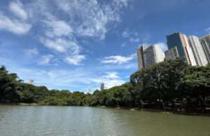 Goiânia entra no top 6 das capitais com maior progresso social do Brasil, aponta IPS 2026 Goiânia conquista destaque nacional em ranking de progresso social e qualidade de vida