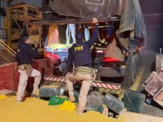 PRF apreende meia tonelada de cocaína escondida em carga de milho PRF apreende meia tonelada de cocaína escondida em carga de milho