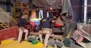 PRF apreende meia tonelada de cocaína escondida em carga de milho