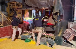 PRF apreende meia tonelada de cocaína escondida em carga de milho