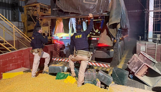 PRF apreende meia tonelada de cocaína escondida em carga de milho PRF apreende meia tonelada de cocaína escondida em carga de milho