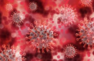 Canadá confirma primeiro caso de hantavírus ligado a cruzeiro; surto já soma 12 infecções Canadá confirma primeiro caso de hantavírus ligado a cruzeiro internacional