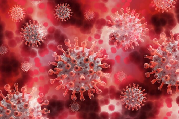 Canadá confirma primeiro caso de hantavírus ligado a cruzeiro; surto já soma 12 infecções Canadá confirma primeiro caso de hantavírus ligado a cruzeiro internacional