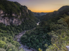 Trilha noturna na Chapada dos Veadeiros convida a explorar o Cerrado após o pôr do sol