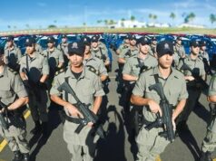Goiás reduz mortes violentas intencionais em quase 65% entre 2015 e 2025 Goiás reduz mortes violentas intencionais em quase 65% entre 2015 e 2025