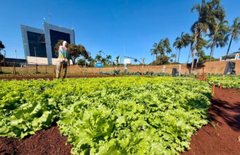 Recicláveis poderão ser trocados por alimentos em Goiânia
