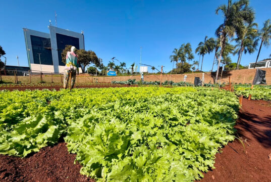 Recicláveis poderão ser trocados por alimentos em Goiânia