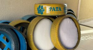 Camas produzidas com pneus reciclados passam a integrar as ações do PATA