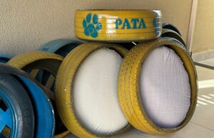 Aparecida amplia programa de proteção animal com entrega de camas sustentáveis para cães Camas produzidas com pneus reciclados passam a integrar as ações do PATA